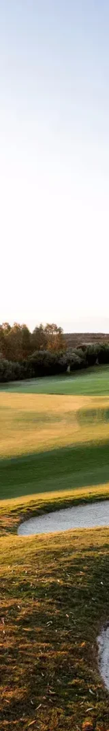 How's your swing? How's your swing?